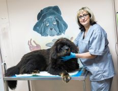 Ветклиника МогВетЛига, Галерея - фото 17