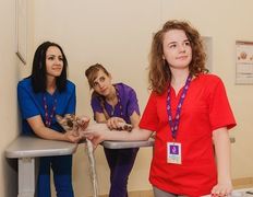 Ветеринарная клиника и аптека  Дай Лапу, Галерея - фото 10