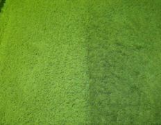 Химчистка и мойка ковров с вывозом и доставкой, чистка мягкой мебели на дому Ковромойка, До | После - фото 2