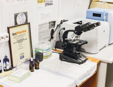 Ветклиника Эвия Верум, Галерея - фото 8