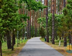 Санаторий Рассвет-Любань, Территория - фото 15