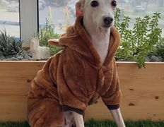 Ветеринарная клиника АйбиВЕТ, Галерея - фото 19