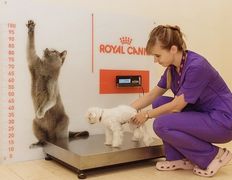 Ветеринарная клиника и аптека  Дай Лапу, Галерея - фото 3