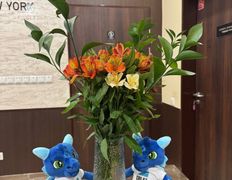 Ресторан | Гостиница Чайна Мерчантc, Экстерьер  - фото 11