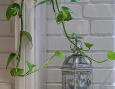 Салон свадебных, вечерних и детских нарядов Le Rina (Ле Рина), Интерьер - фото 19