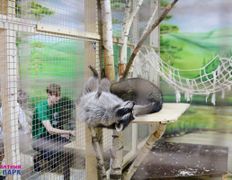 Торгово-развлекательный центр Титан, Всемирный день фотографа в ZOOпарке - фото 12