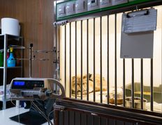 Ветеринарная клиника Белая медведица, Галерея - фото 17