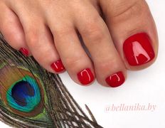 Студия красоты BellaNika (Бэлла Ника), Педикюр - фото 2