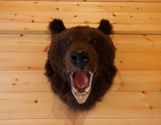 Экоцентр Травы Байкала и Алтая, Дома - фото 20