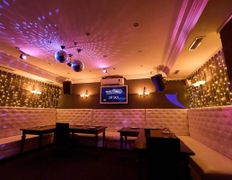 Караоке-клуб ФортеPiano (ФортеПиано), VIP-зал - фото 3