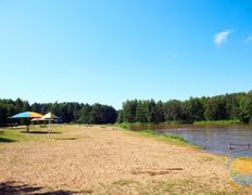 Санаторий Сосновый бор, Территория - фото 15