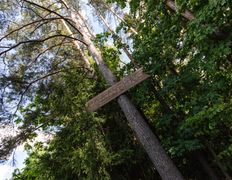 Агроусадьба  Поддубная, Территория  - фото 4