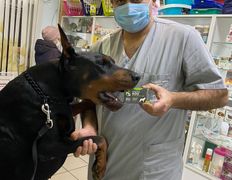 Ветеринарная клиника ВетЗооЦентр, ВетЗооЦентр - фото 7