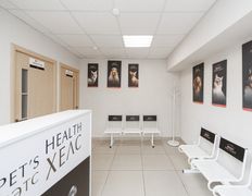 Ветклиника PET’S HEALTH (ПЕТС ХЕЛС), Интерьер - фото 7