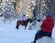 Центр верховой езды Двор Старинки, Походы - фото 2