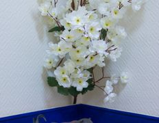 Центр психологического развития Avatar (Аватар), Галерея - фото 12