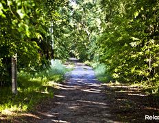 Дворцово-парковый ансамбль Поместье Рейтанов, Поместье - фото 17