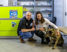 Ветклиника Ветеринарный импульс, Галерея - фото 20