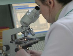 Медицинская лаборатория СИНЛАБ, Галерея - фото 1