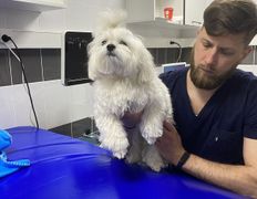 null Ветеринарный центр доктора Базылевского А.А. Филиал «Минск 24/7», Галерея - фото 18