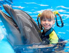 null Минский дельфинарий, Галерея - фото 14