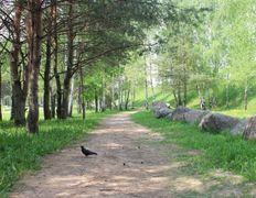 Парк Музей валунов, Музей валунов - фото 8