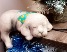 Ветклиника МогВетЛига, МогВетЛига - фото 15