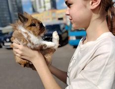 Ветклиника Айдавет, Наши пациенты - фото 18