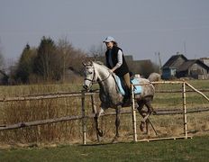Центр верховой езды Двор Старинки, Соревнования - фото 12