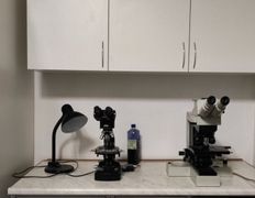 Ветеринарная клиника Питомец, Галерея - фото 1