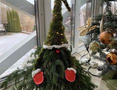 Агроусадьба У Истока, Зима У Истока  - фото 3