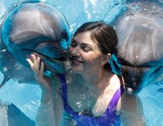 null Минский дельфинарий, Галерея - фото 18