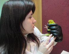 Ветеринарный центр Семь жизней, Галерея - фото 3