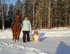 Центр верховой езды Двор Старинки, Походы - фото 1