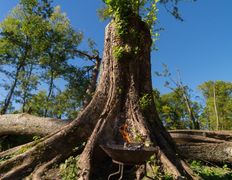Парк средневековой истории Великое княжество Сула, Экскурсии - фото 7