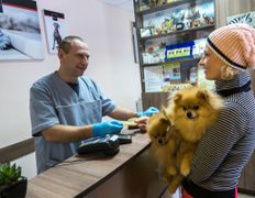 Ветклиника МогВетЛига, Галерея - фото 14