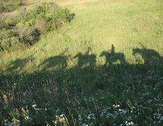 Центр верховой езды Двор Старинки, Походы - фото 9