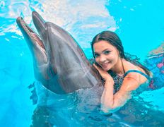 null Минский дельфинарий, Галерея - фото 9