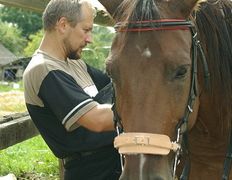 Центр верховой езды Двор Старинки, Прокат - фото 16