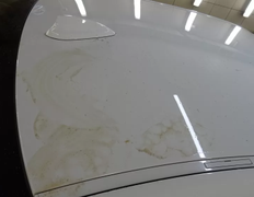 Автомойка Сивый Мерин, Полировка - фото 4