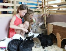 Торгово-развлекательный центр Титан, Всемирный день фотографа в ZOOпарке - фото 15