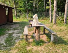 Рыболовно–туристический комплекс Кромань, Территория и природа - фото 8