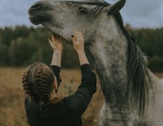 Центр верховой езды Двор Старинки, Прокат - фото 4