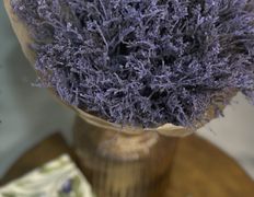 null Svetlana Kulesho Beauty Studio (Светлана Кулешо Бьюти Студио), Интерьер - фото 9