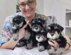 Ветклиника МогВетЛига, МогВетЛига - фото 17