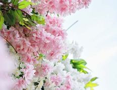 Гастропаб-караоке ОСОБНЯК, Терраса - фото 5