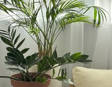 null Svetlana Kulesho Beauty Studio (Светлана Кулешо Бьюти Студио), Интерьер - фото 5