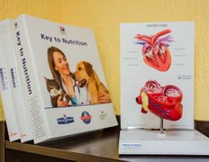 Ветклиника Айдавет, Галерея - фото 8