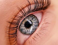 Имидж-студия Мажорка, Услуги по уходу за ресницами - фото 4