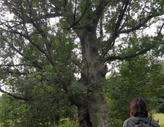 Центр верховой езды Двор Старинки, Походы - фото 6